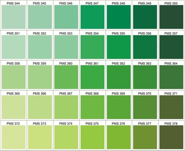 Pantone là gì?